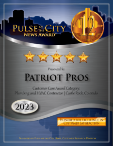 2023 Pulse Award